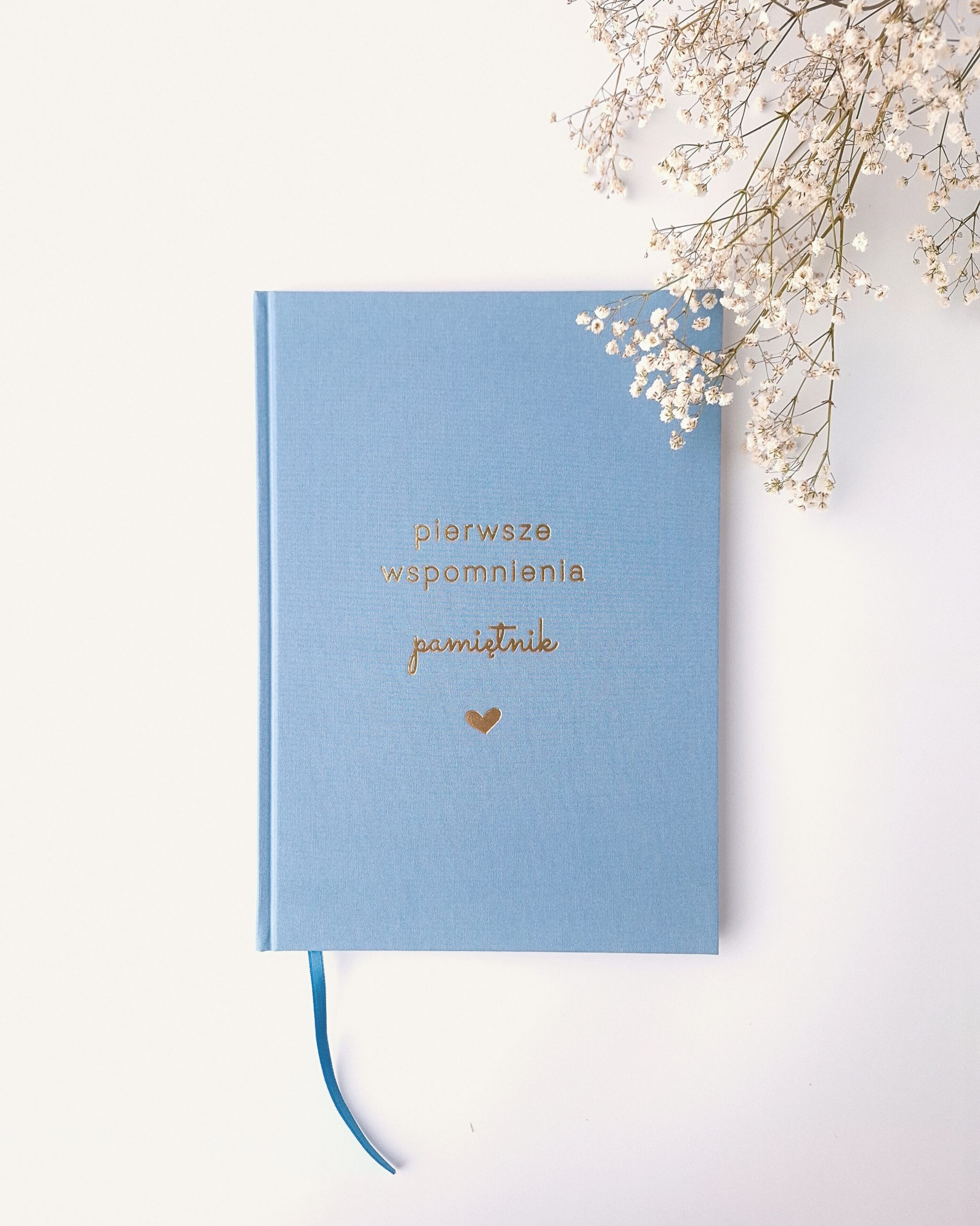 pamiętnik dziecka Misty Blue – widok okładki z przodu