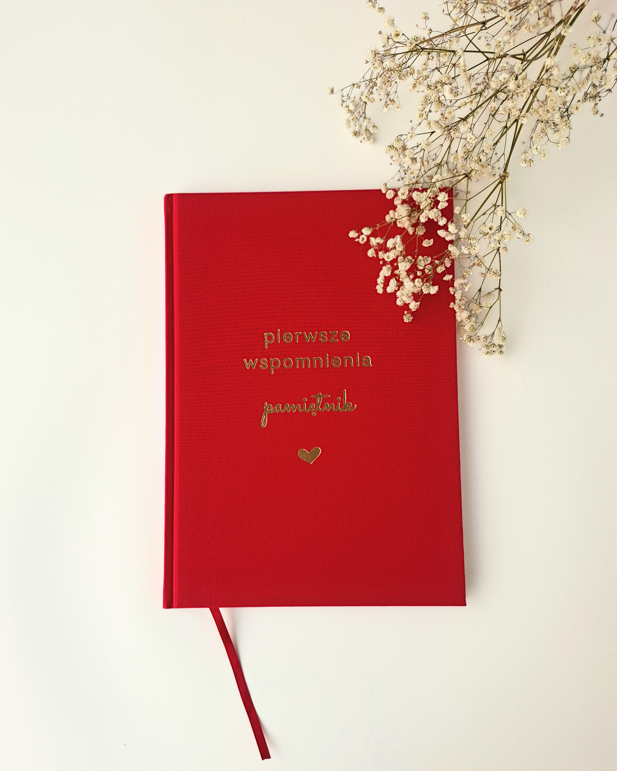 Pamiętnik dziecka czerwony Pierwsze wspomnienia – widok okładki od frontu
