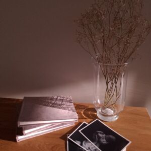 Outlet mały album na zdjęcia - welurowy | liliowy